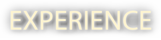 Experience