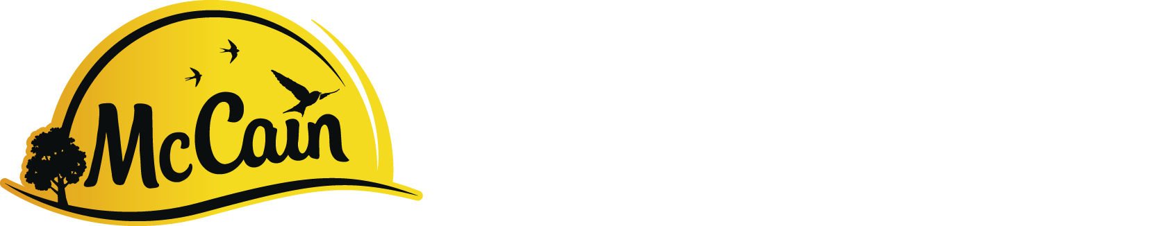 mccain_logo